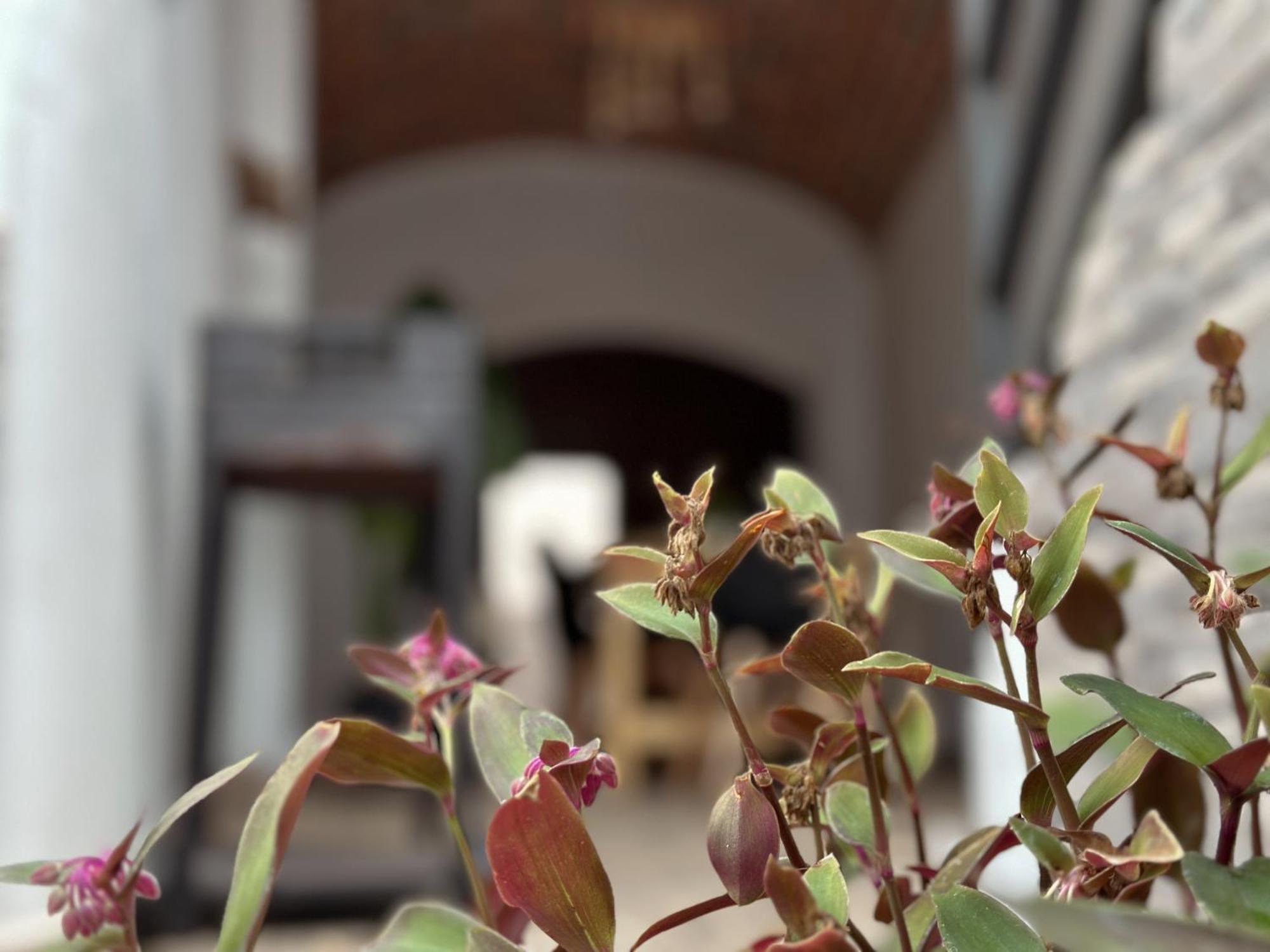 Casa Rural Alcocer Deluxe L Privacidad E Intimidad Puebla de Alcocer 외부 사진